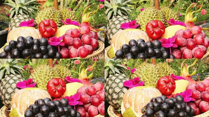 热带水果热带水果