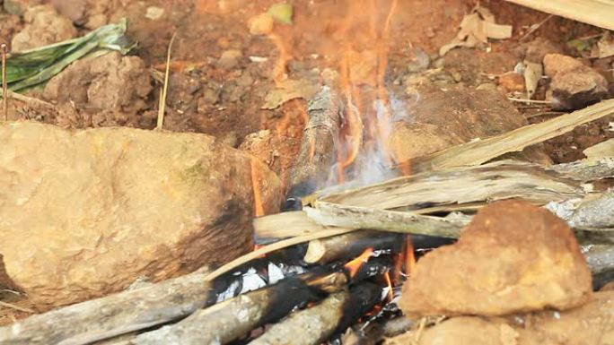 木制火过年烤火野外火堆露营