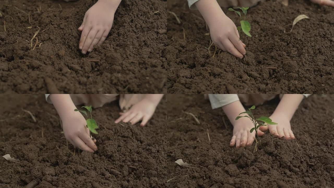 儿童农夫幼女手工种植花园