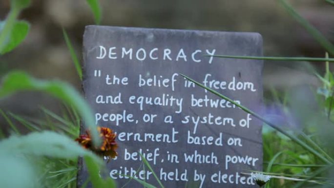 民主与自然力量