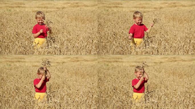 麦田里的小男孩