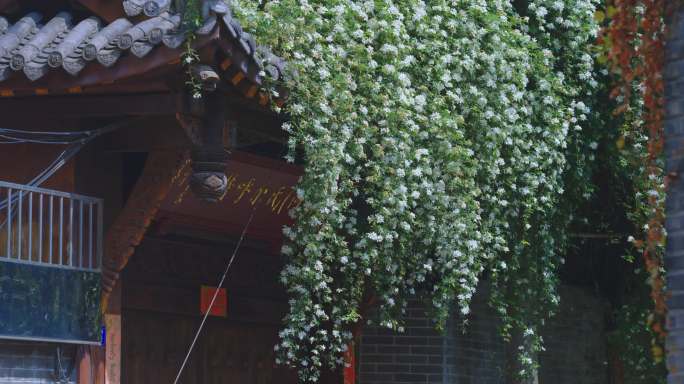 七里香瀑布雨