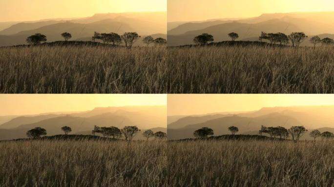 非洲大草原和山脉日落