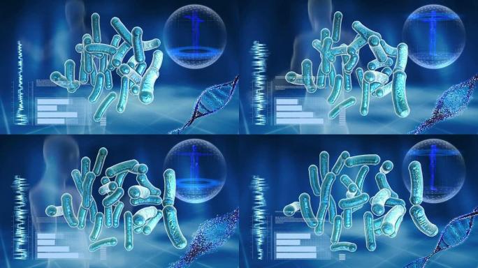 电脑屏幕上的细菌和DNA分子。