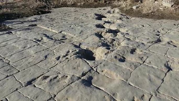 新发现的恐龙追踪科罗拉多纠察线峡谷地