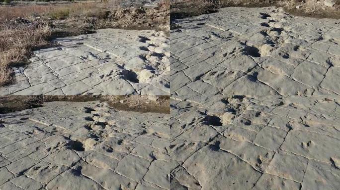 新发现的恐龙追踪科罗拉多纠察线峡谷地