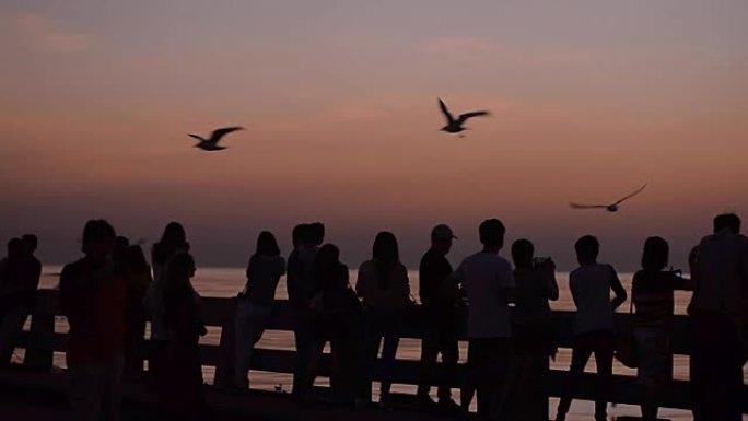 剪影: 日落时港口上的人和海鸥