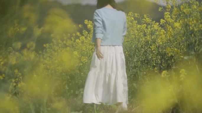 白裙女生田间慢步背影小清新唯美意境踏青