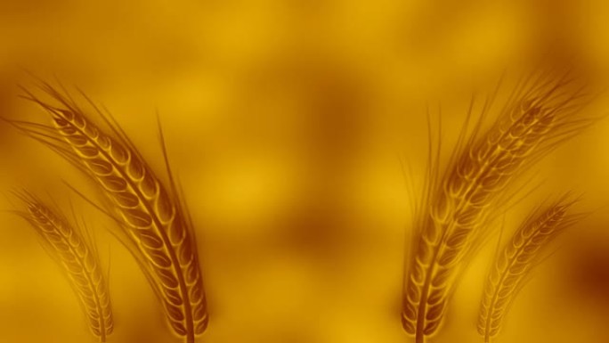 小麦背景金色小麦背景素材