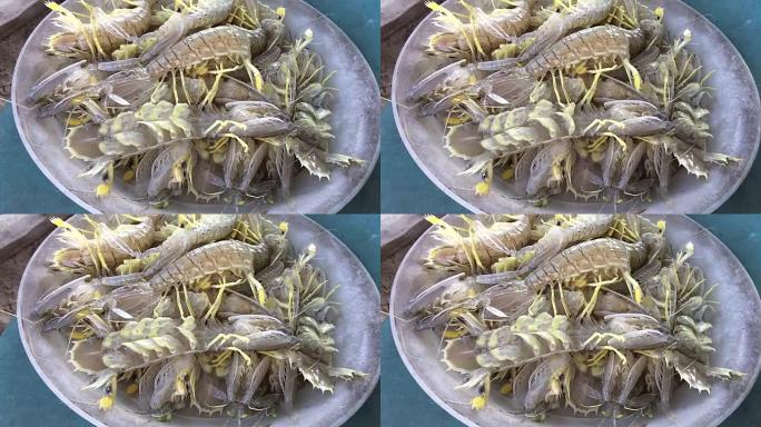 螳螂虾