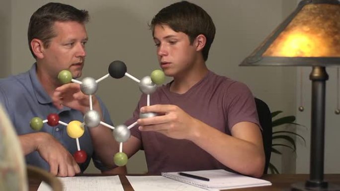 儿子向父亲展示了他的分子科学项目