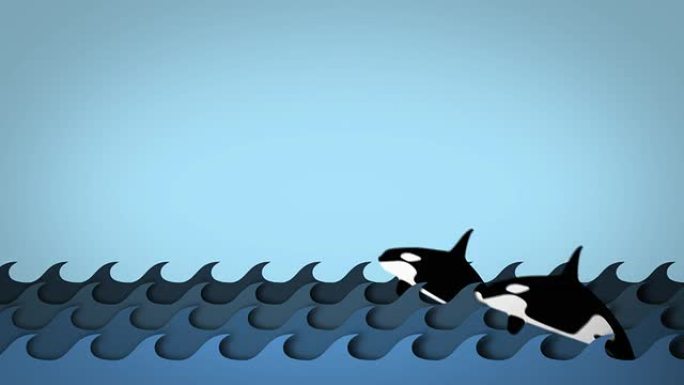 虎鲸在海浪上跳跃虎鲸在海浪上跳跃海豚mg
