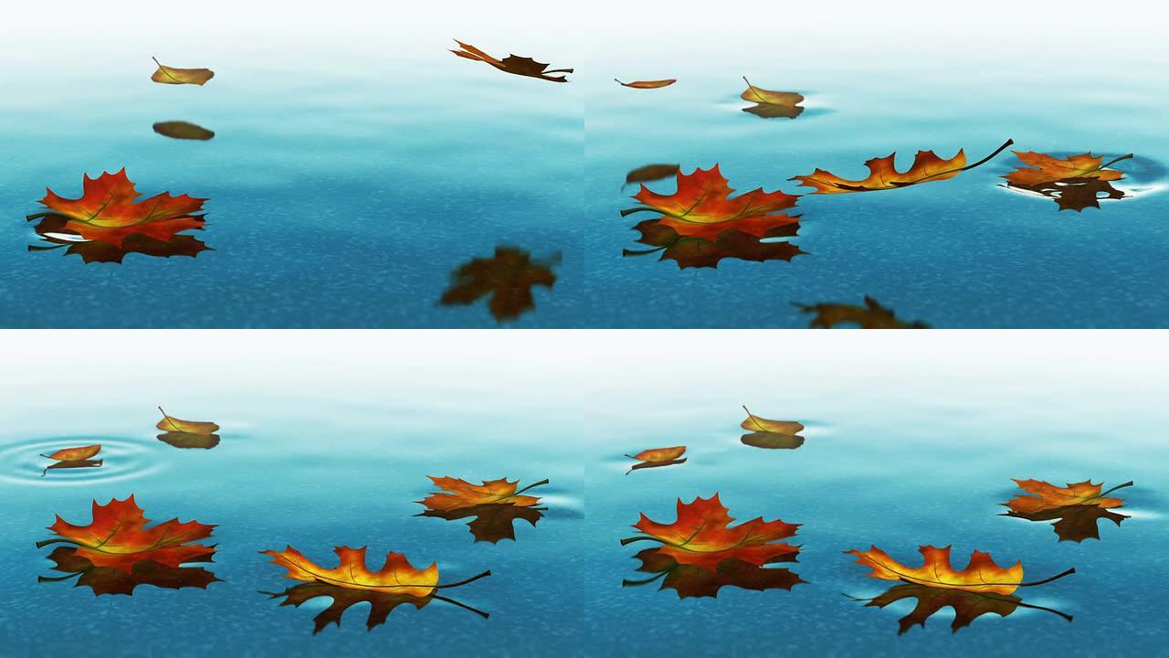 秋叶飘落在清澈的水面上