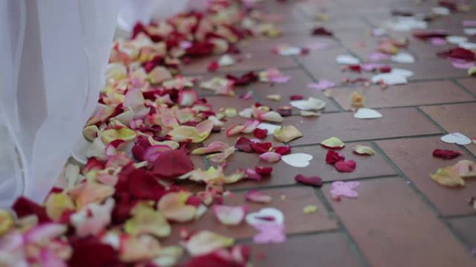 地板上的玫瑰花瓣婚礼过后地面上的玫瑰花