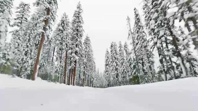 冬季驾驶冬天行驶公路两边被白雪覆盖的树木