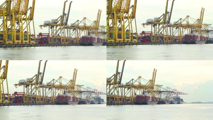 港口里非常大的集装箱船