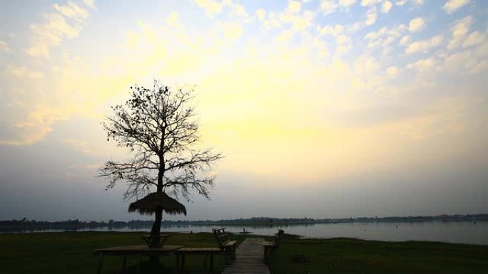 树木与日落天空云层黄昏夕阳乡村农村