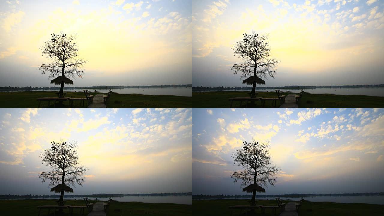 树木与日落天空云层黄昏夕阳乡村农村