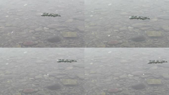 河上浮冰石河上浮冰石
