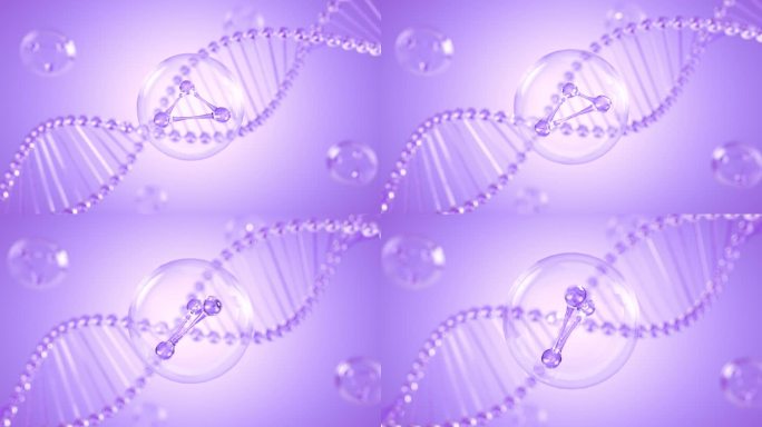 DNA分子三维动画