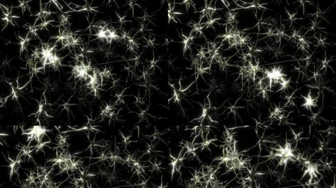 场中的神经元共享脉冲