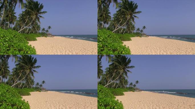 斯里兰卡海滩海岸线沙滩椰林