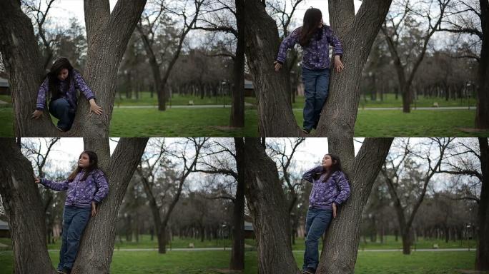 爬在树上的小女孩