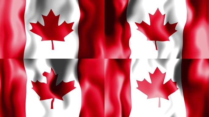 加拿大的国旗加拿大的国旗