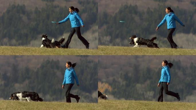 高清超级慢动作: 狗在塑料磁盘后奔跑