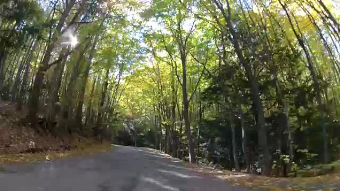 穿过森林的风景路线，GoPro