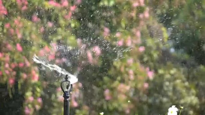 慢动作，花圃洒水特写喷水节水