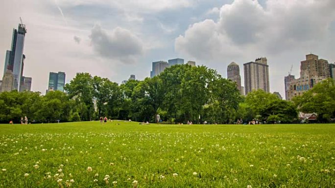 纽约中央公园心旷神怡绿草野花清新自然