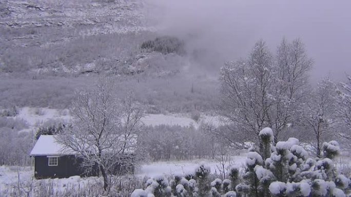 雪景住宅树林丘陵