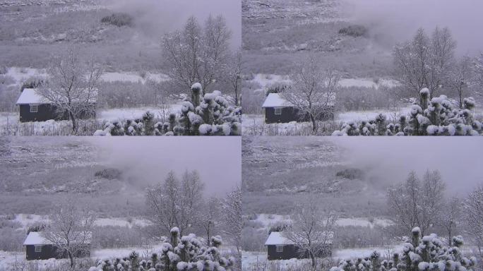 雪景住宅树林丘陵