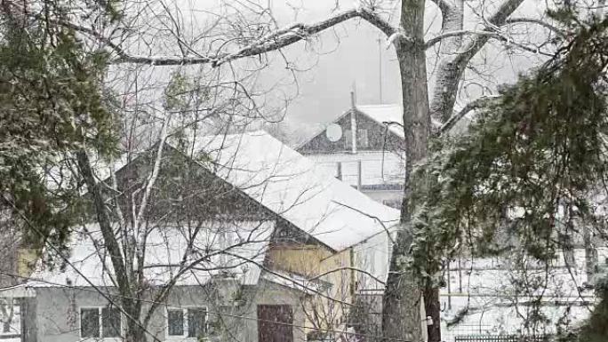乌克兰村庄的暴风雪。