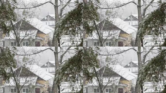 乌克兰村庄的暴风雪。