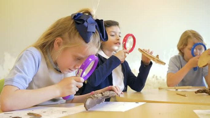 私立学校小学生在科学课上使用放大镜