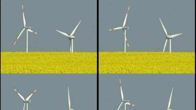 带油菜籽田的风力发电机