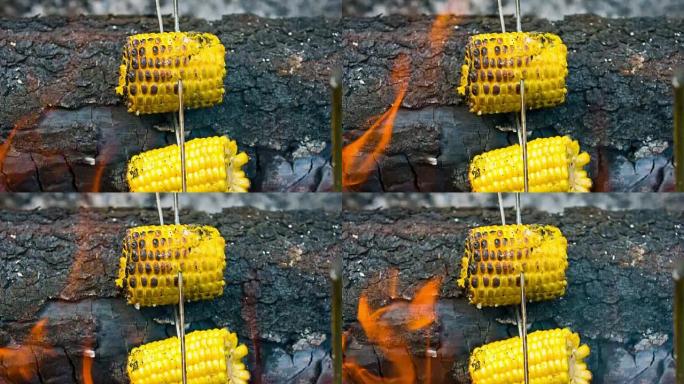 在篝火旁煮玉米野外野炊原始方式火苗火焰