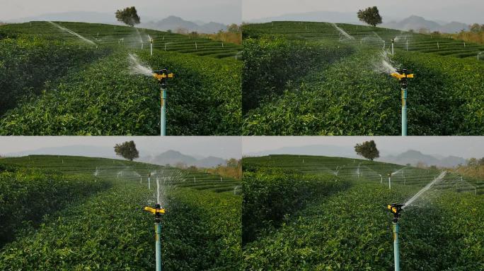 茶园灌溉洒水喷头（慢动作）