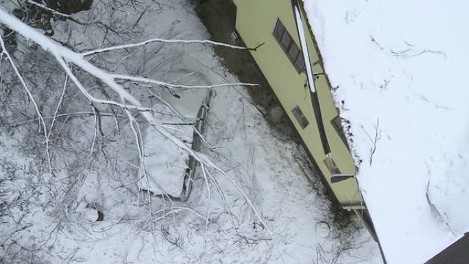 冰暴造成的破坏雪林雪景冰天雪地