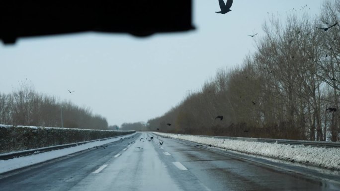 高速公路安全高速飞乌鸦雪后行车行车记录仪