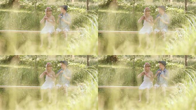 SLO MO一个哥哥和一个姐姐坐在美丽的夏日草地上吹泡泡