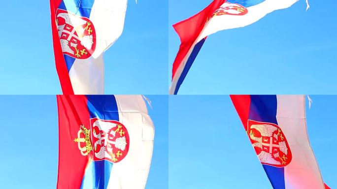 塞尔维亚国旗巴尔干半岛鹰的象征意义塞尔维