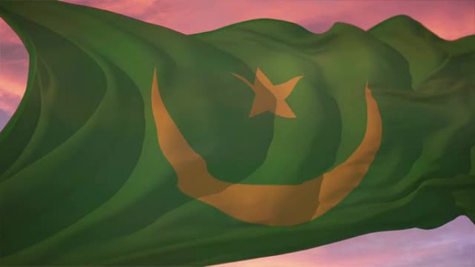 毛里塔尼亚旗