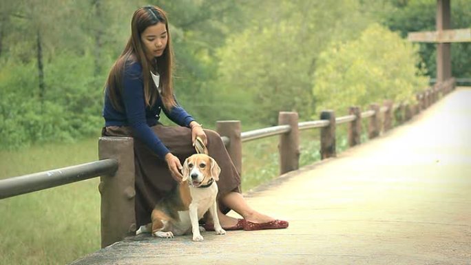 海滩上带着狗的女人