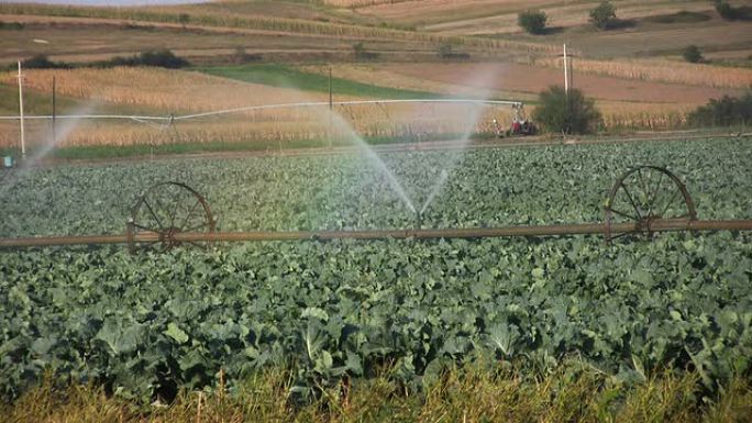 灌溉（HD）灌溉