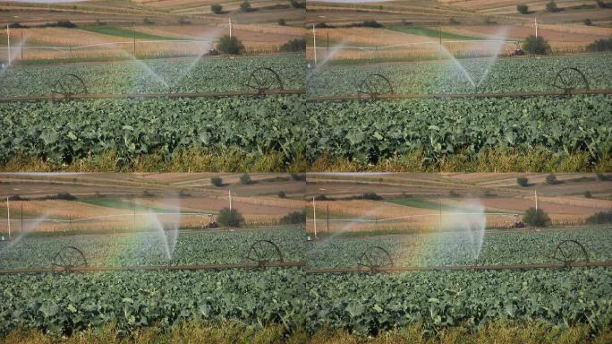 灌溉（HD）灌溉