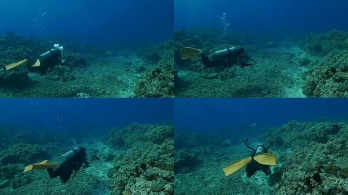 菲律宾礁鲨背后的水肺摄影师潜水员追踪 (4K)