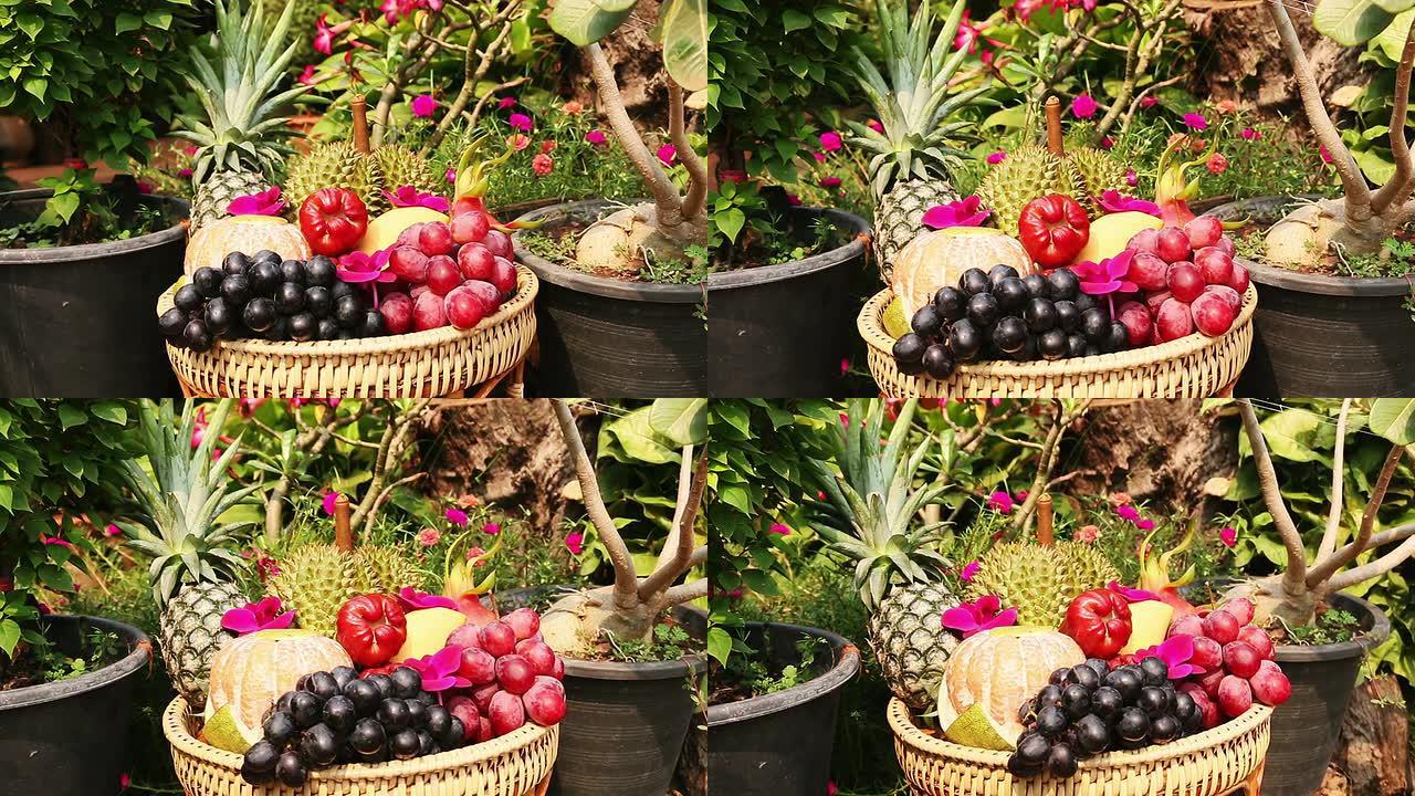 热带水果新鲜果蔬装再篮子里静物特写